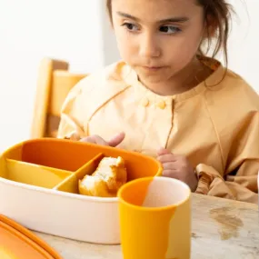 Grand Silicone Lunchbox | Color Splash Collection - Sienna Ombre