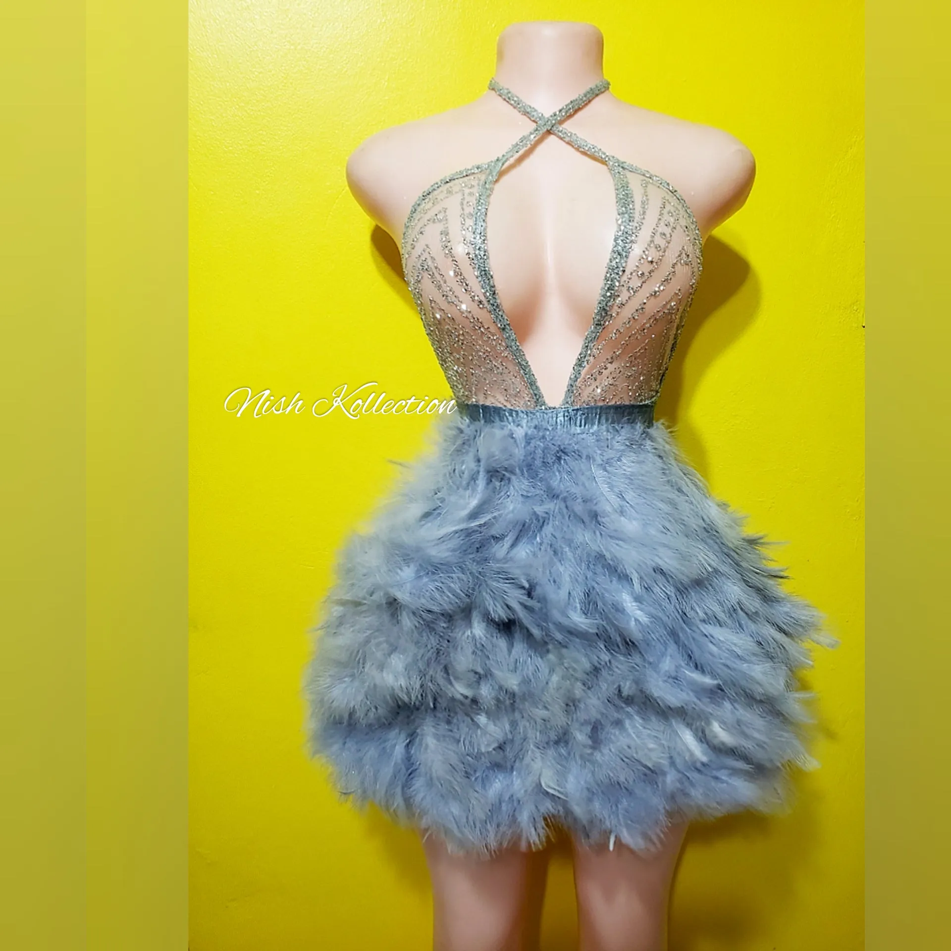Sia feather mini dress